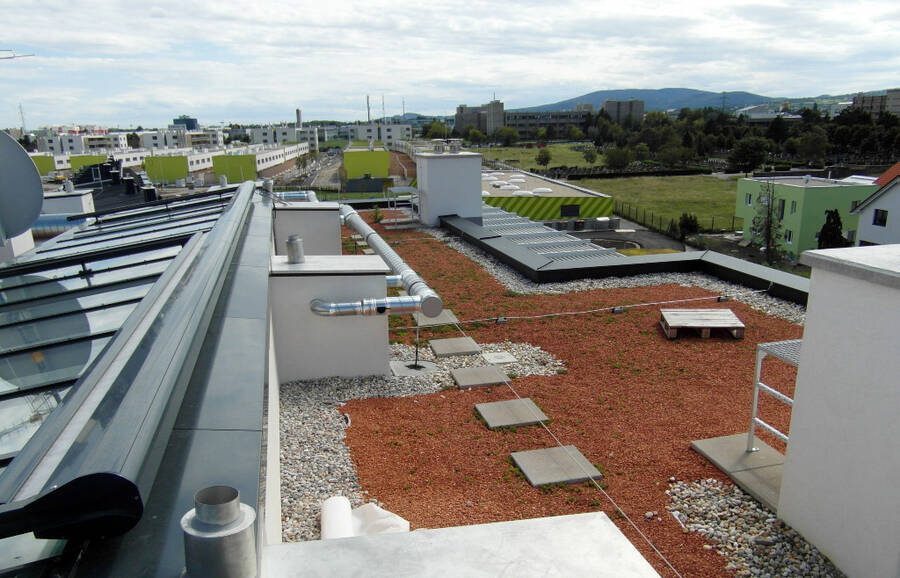 Wohnhausanlage Eduard Kittenberger Gasse Wohnhausanlage Eduard Kittenberger Gasse