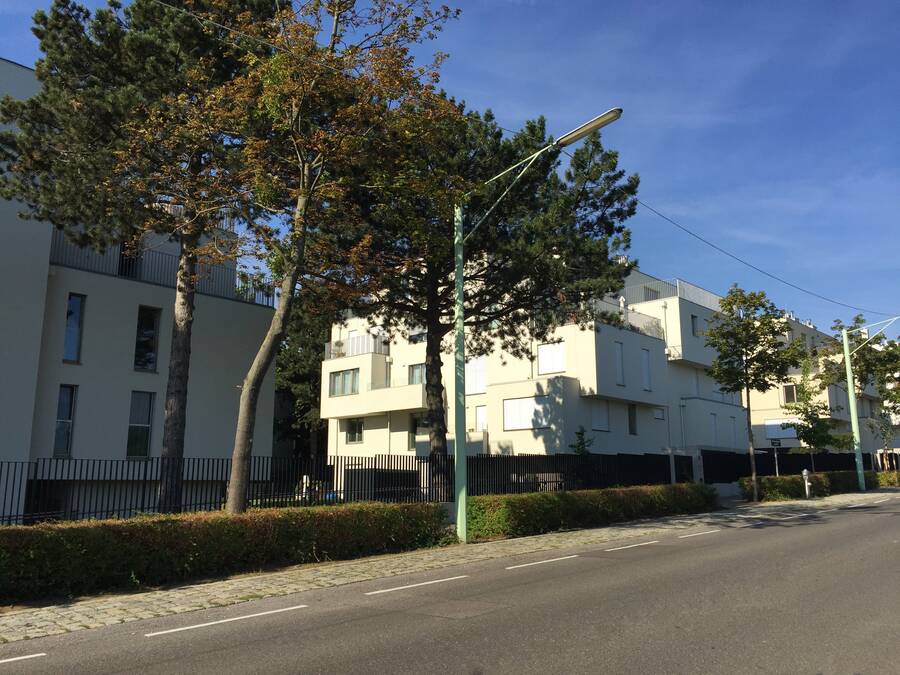 Vienna Compound Housing: Upper Compound Vienna Compound Housing: Upper Compound